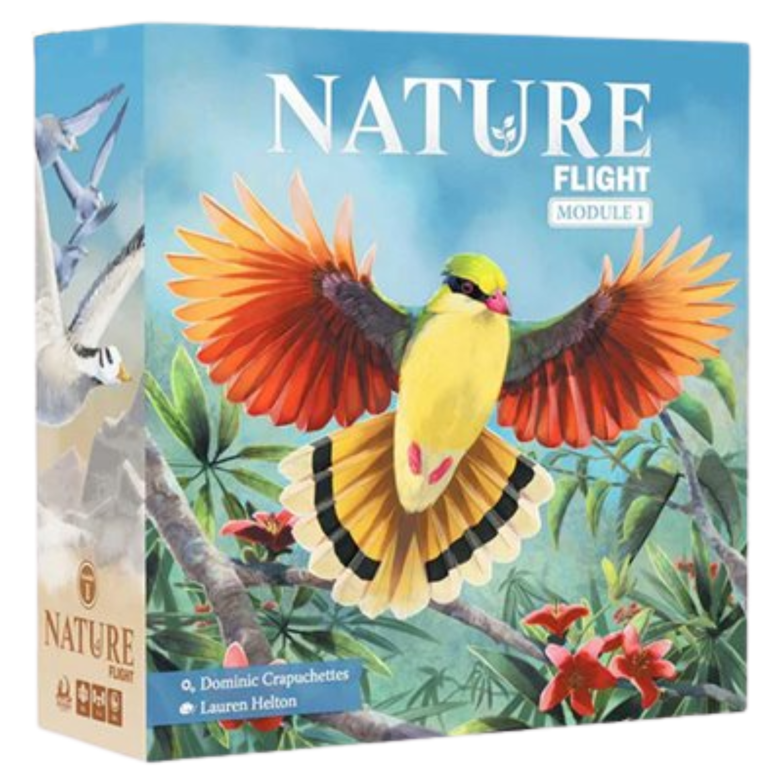 Nature Module 1: Flight